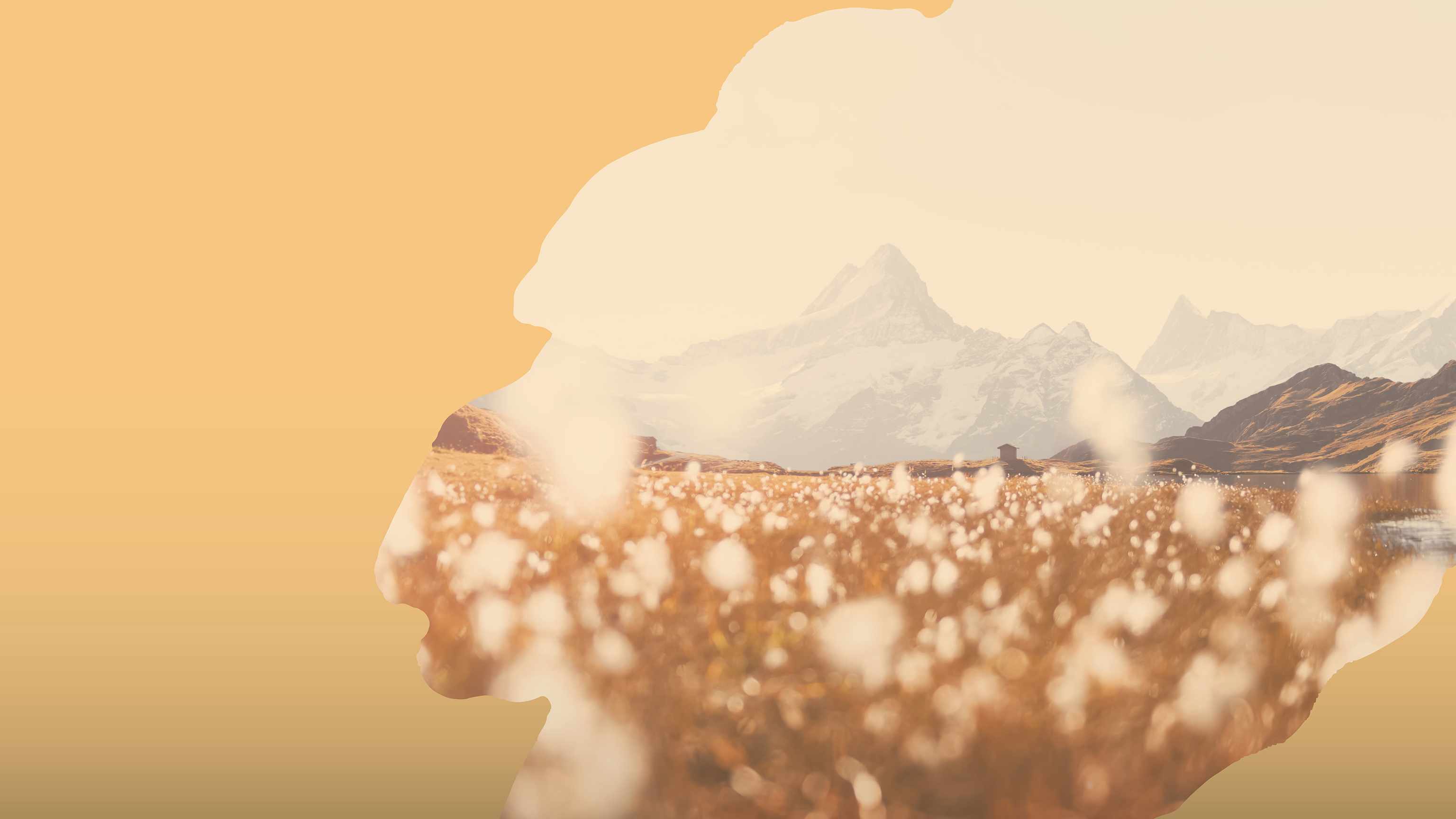 Swiss Alps Specialties