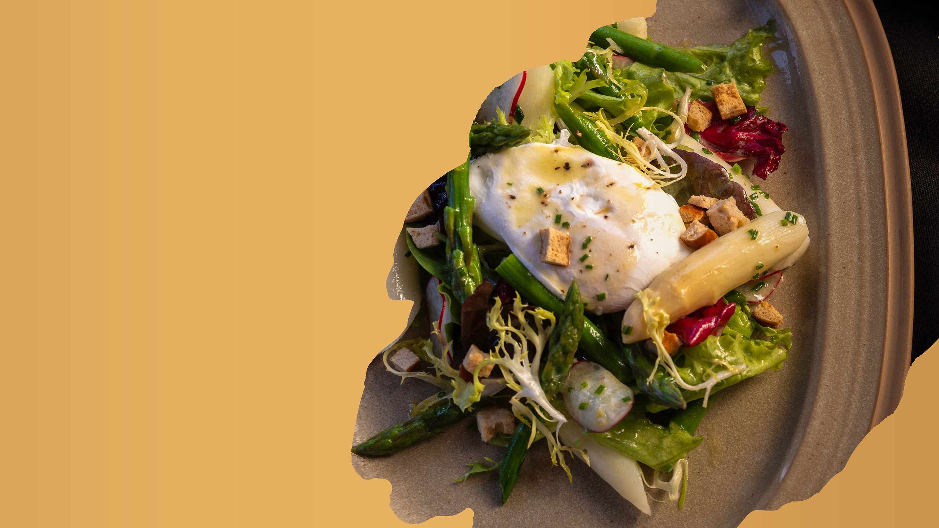 White Asparagus Season